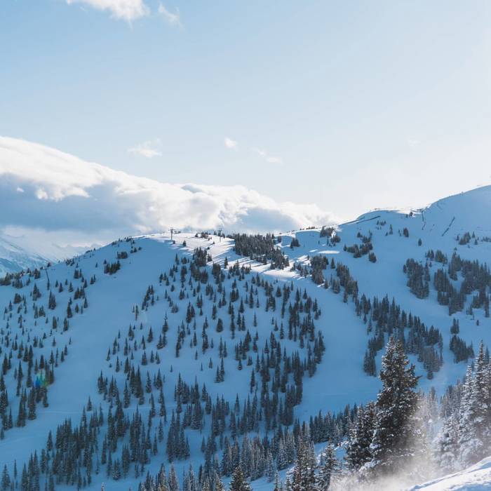 Fun Facts To Get You Psyched About Marmot Basin