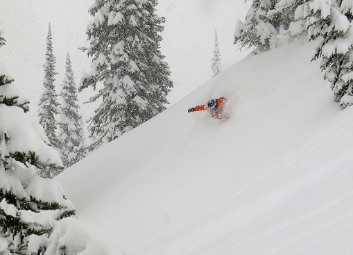 Fernie Powder Small