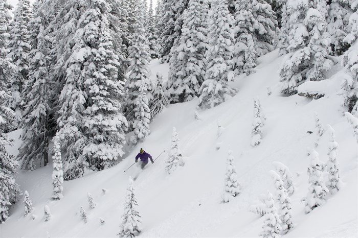 Sun Peaks _adam Stein