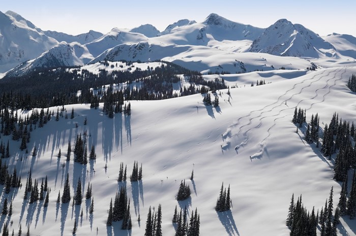 Four skiers and riders leaving fresh powder tracks at Whistler