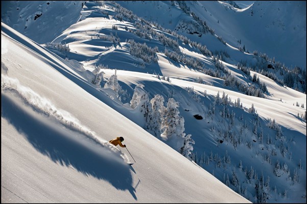 Man skiing in fresh powder on Revelstoke along the Powder Highway