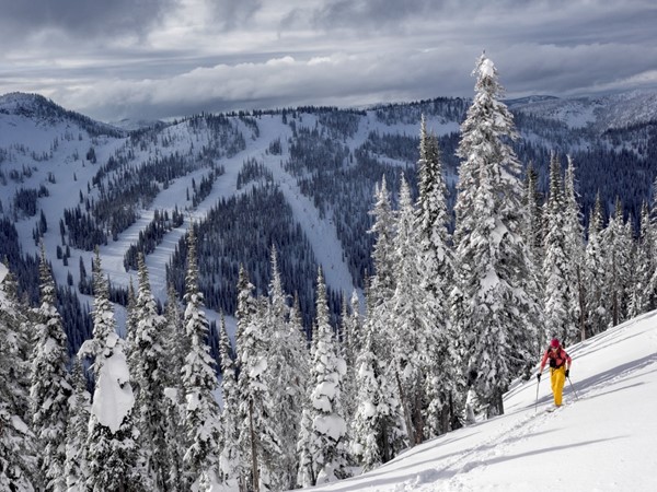 Skier traverses mountain at Whitewater Ski Resort on the Powder Highway
