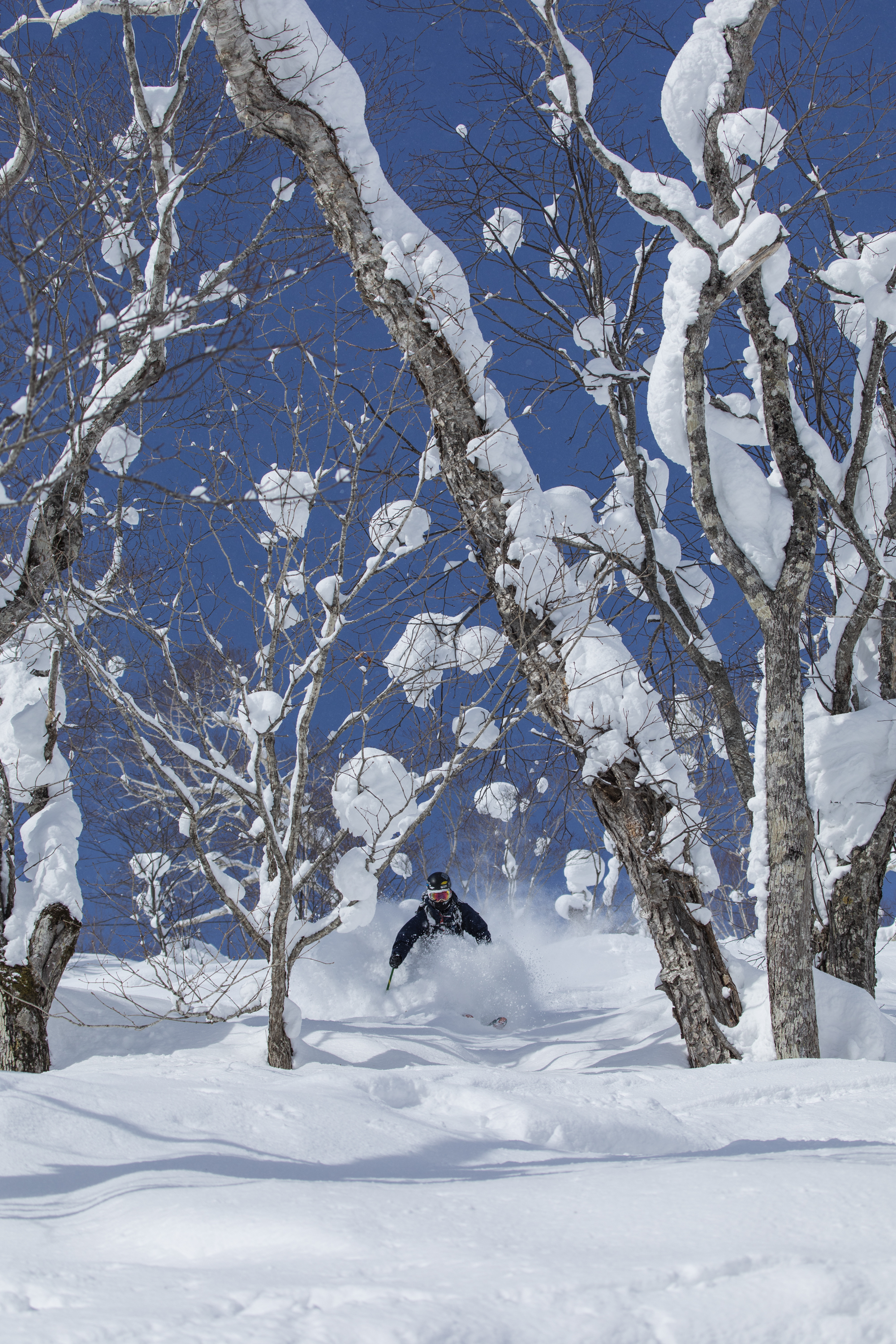 Why Japan should be on your bucket list