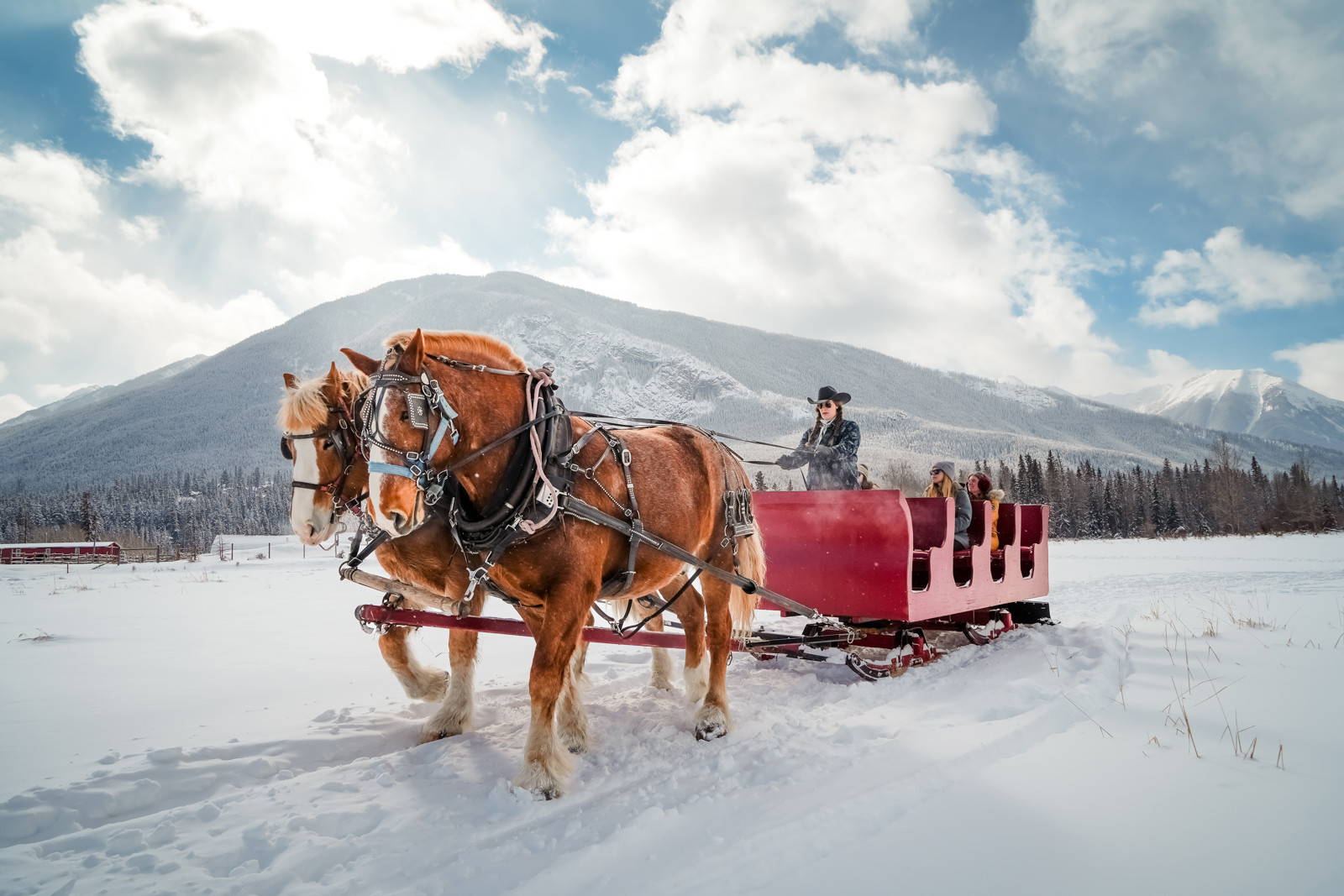 Banff Banfftrailriders Sleighride
