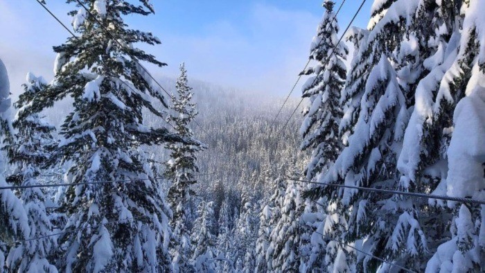 Wide angle photo of winter zipline through snow covered trees