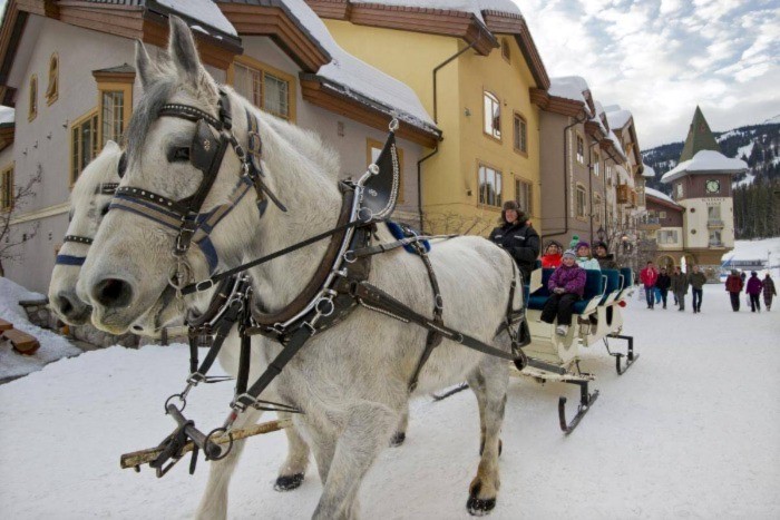 Family enjoying a winter horse-drawn sleigh ride at Sun Peaks