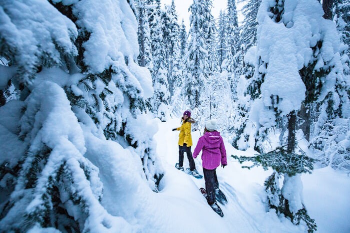 Two woman snowshoeing through snowy woods