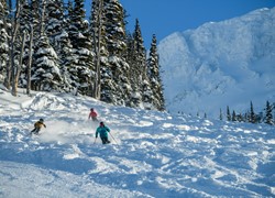 Special: Whistler Blackcomb, BC - January 10 - 17, 2026