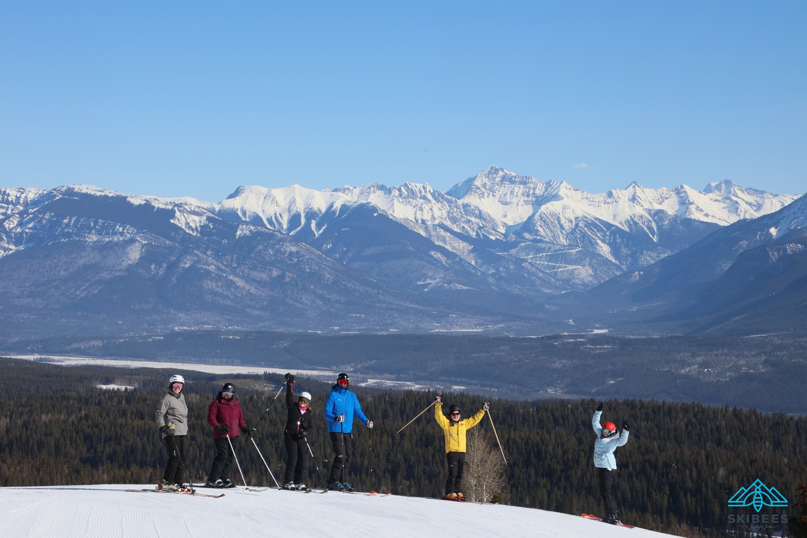 Groups_Ski Bees Landing Page