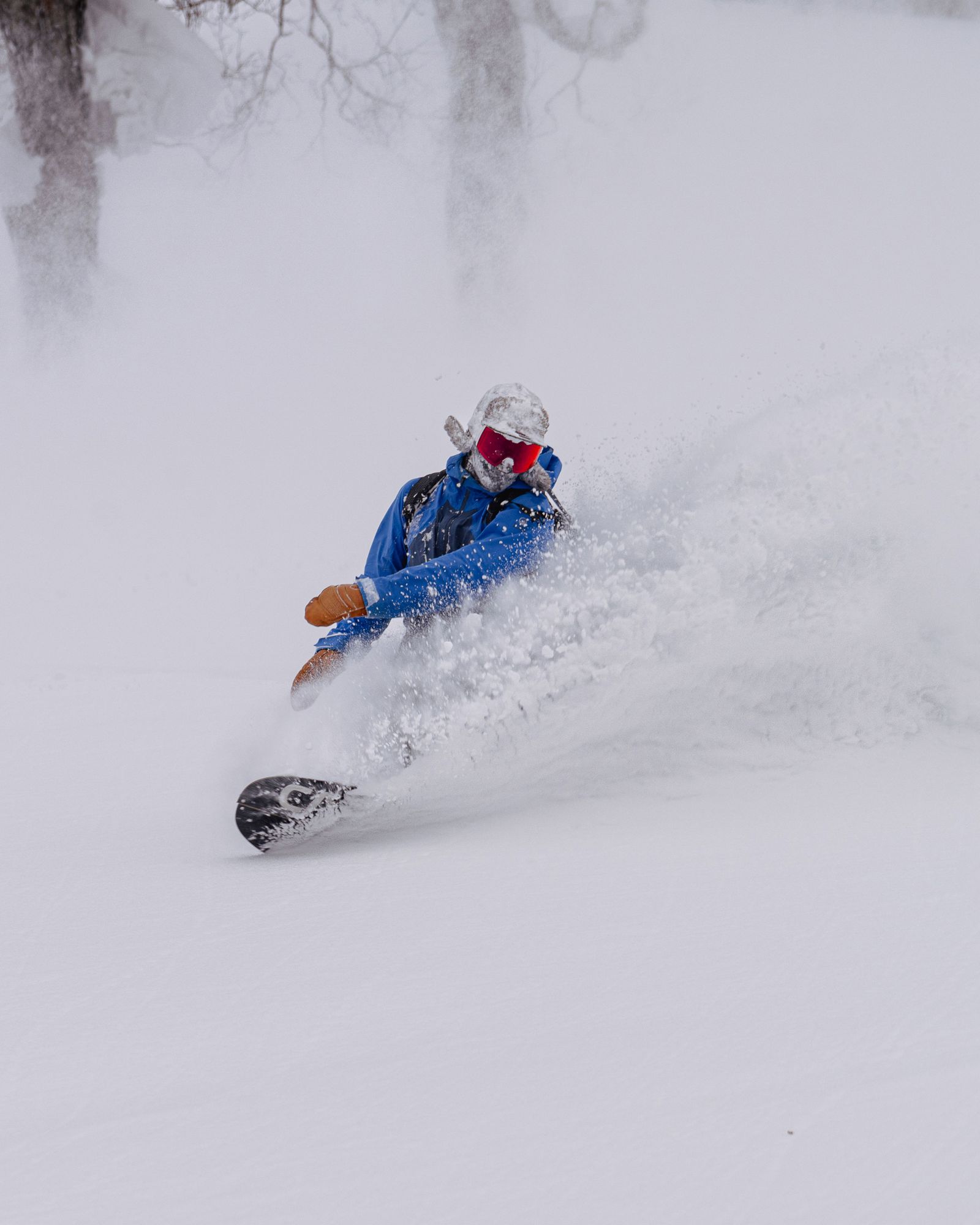 Japan_hakuba_powder rip.jpg