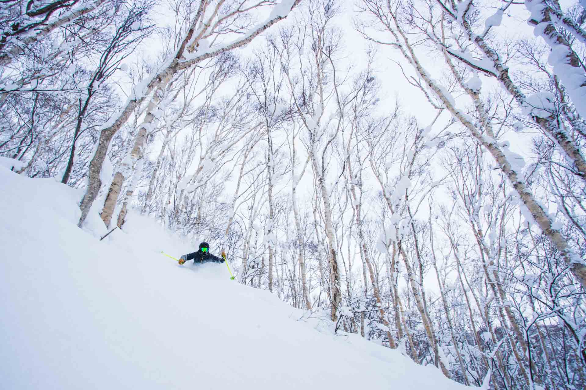 Niseko Ski Resort | Japan