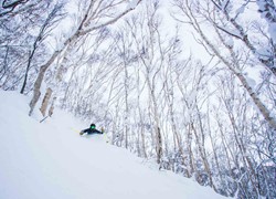 Niseko Ski Resort | Japan