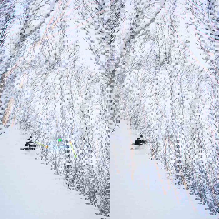 Niseko Ski Resort | Japan