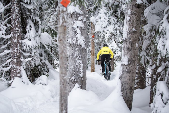A photo of a person fat biking through a snowy forest