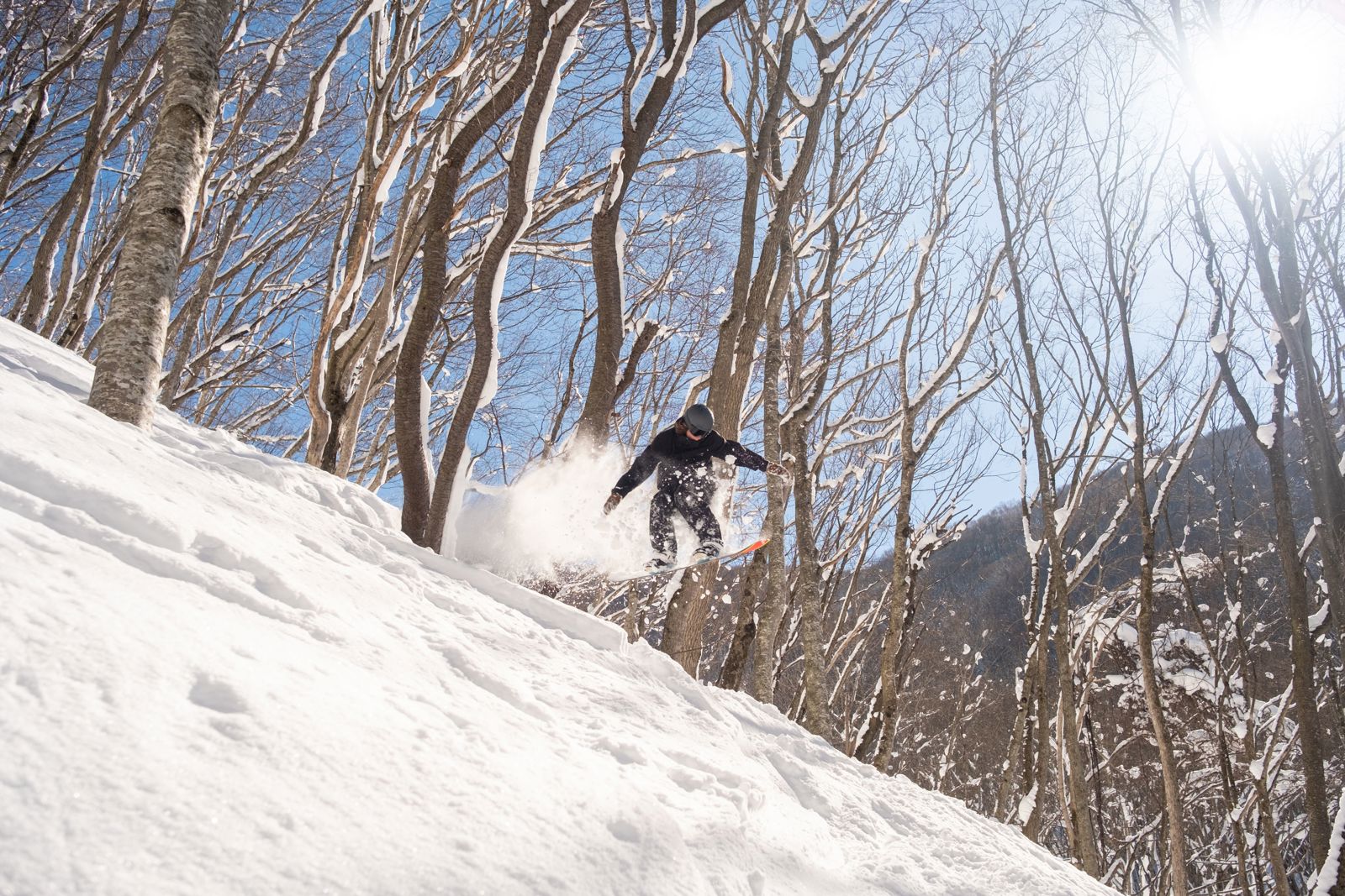 Japan_hakuba_snowboarder in air.jpg