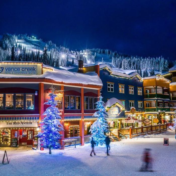 Top Family Ski Vacations