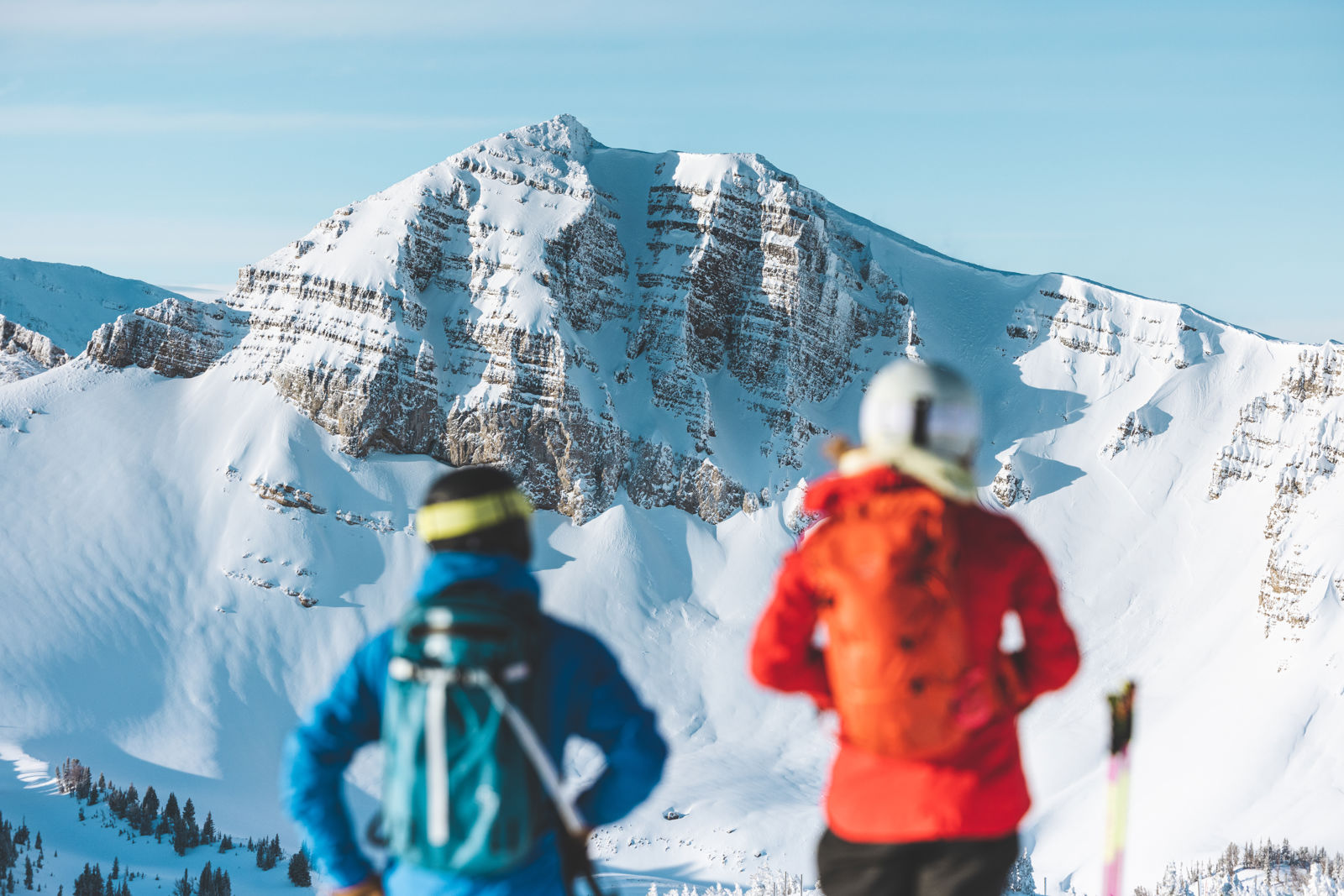 Jackson Hole Wyoming Skiers bluebird vista