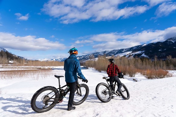 Person looking out into the wilderness with on a fat bike